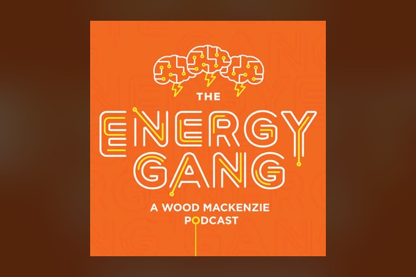 Riding the Solar Coaster of Clean Energy Investment